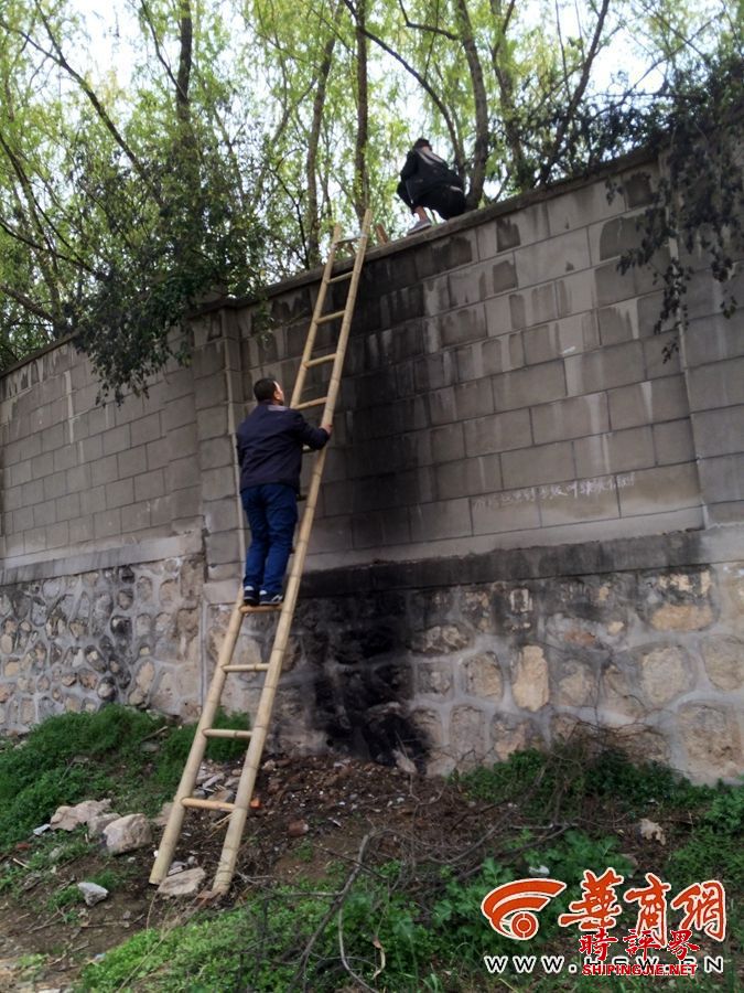 西安村民收费60元 搭梯帮游客翻墙进野生动物园