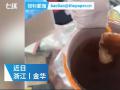 果汁惊现异物，无信的品牌何来“香飘飘”