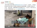 不能总指望退役警犬“教科书式”灭火