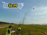 浙大毕业生当机场“驱鸟员”也是“大材大用”