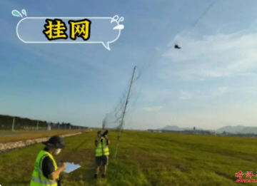 浙大毕业生当机场“驱鸟员”也是“大材大用”