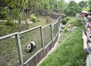 不文明游客被罚终身进入熊猫馆的标本意义