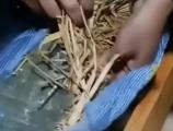李蓬国：学生床垫用杂草填充，背后有无猫腻