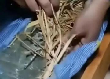 李蓬国：学生床垫用杂草填充，背后有无猫腻